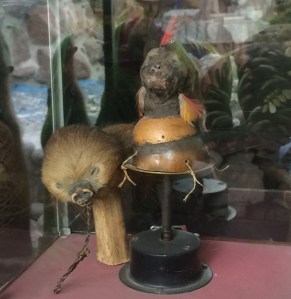 Shrunken head (right), shrunken guinea pig (left)